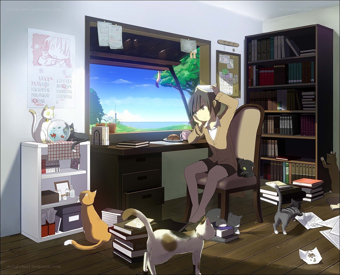 Student with cats at desk
