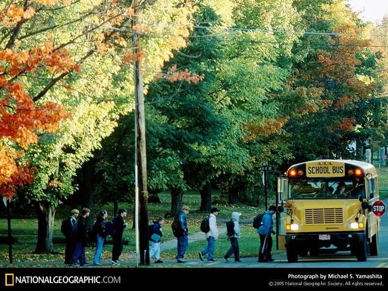 Students Boarding School Bus