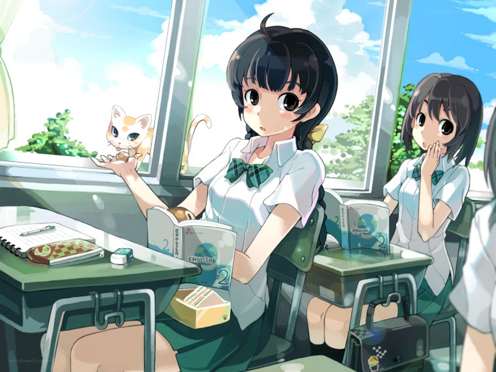 Students in classroom with cat
