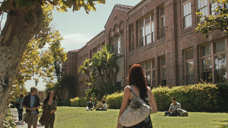 Students on a Campus Lawn — Green