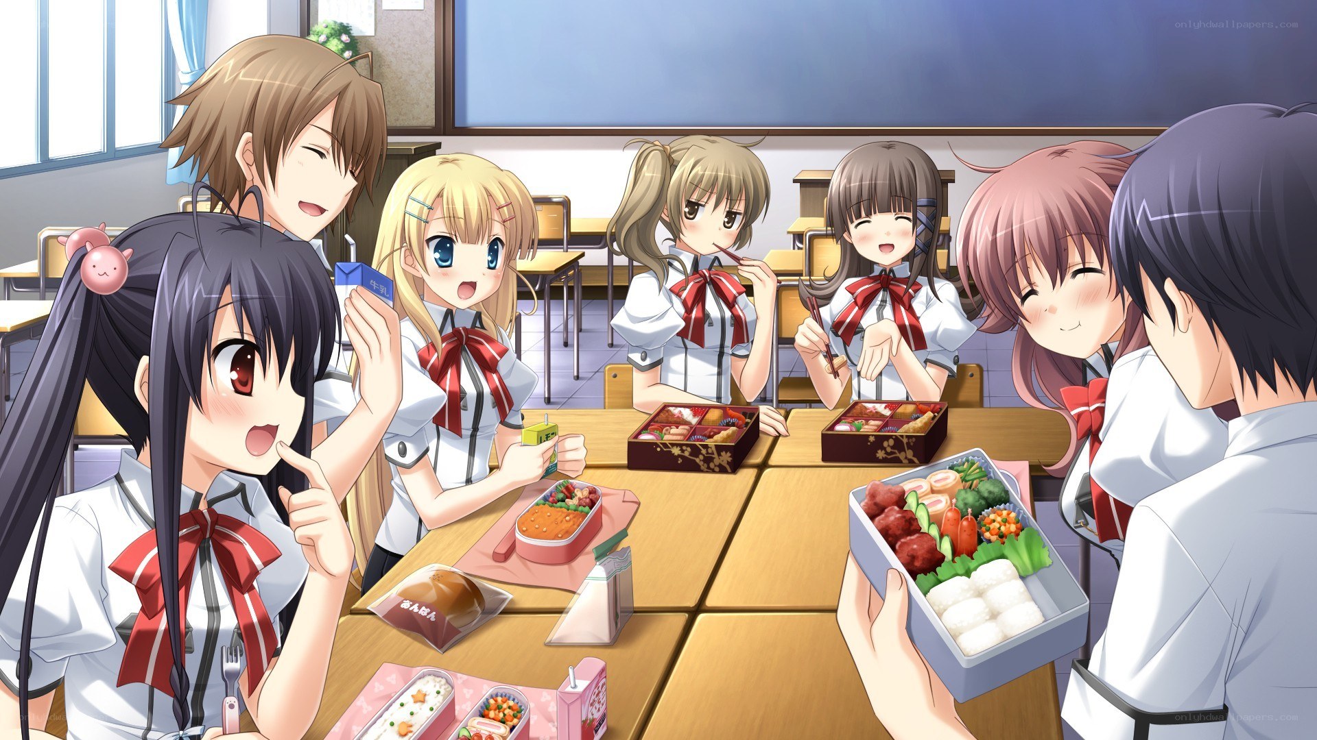 Students sharing bento boxes