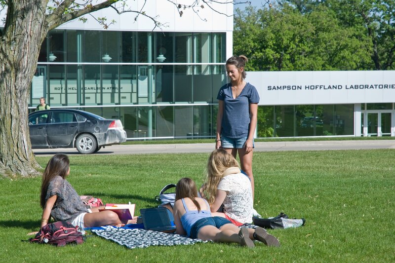 Students studying on campus lawn