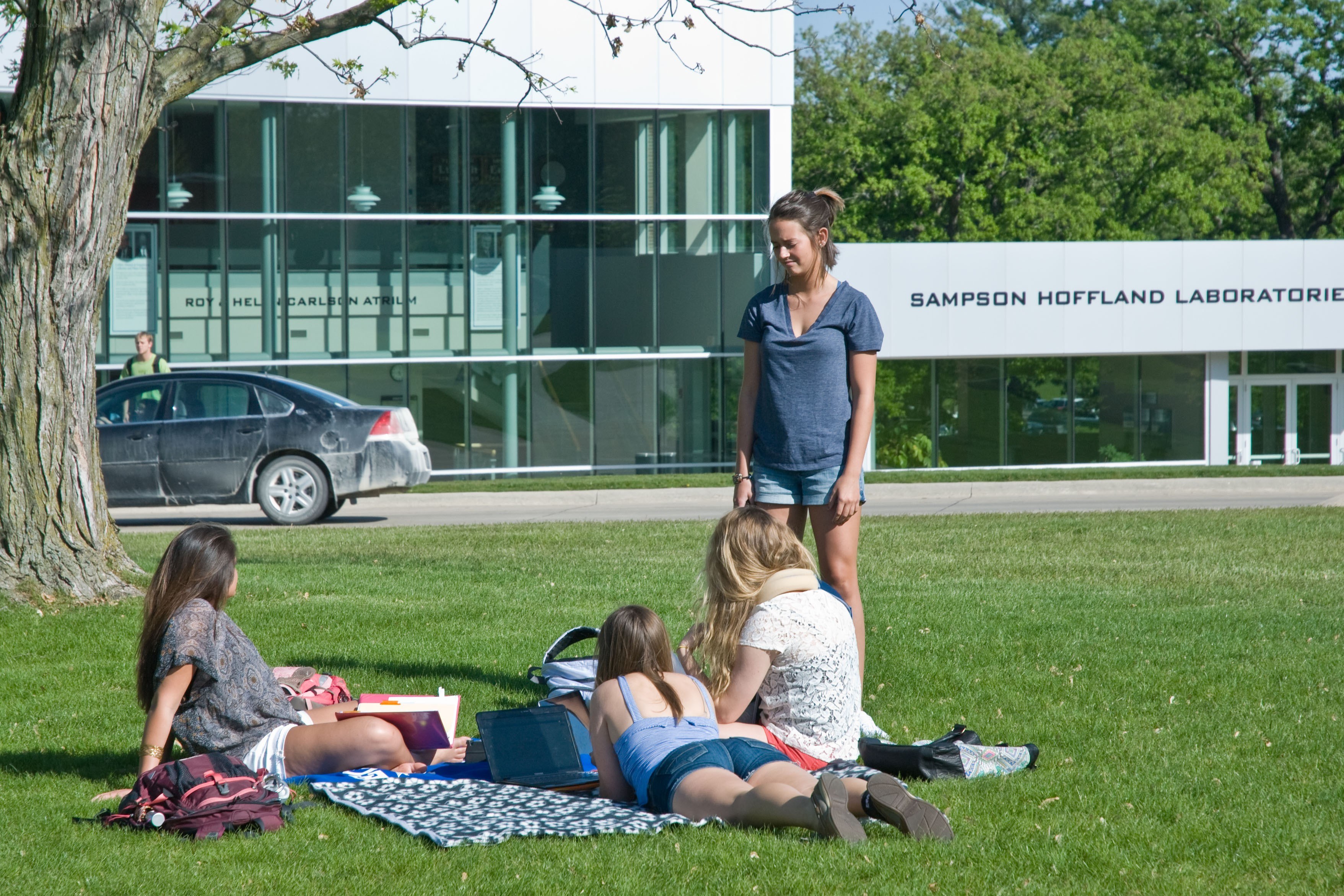 Students studying on campus lawn