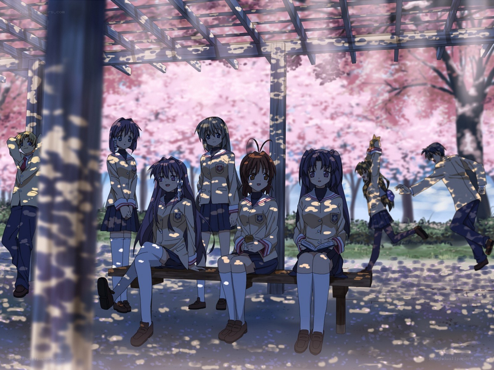 Students under a cherry blossom trellis