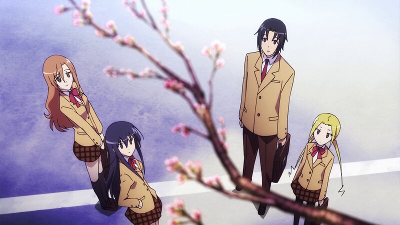 students under cherry blossoms