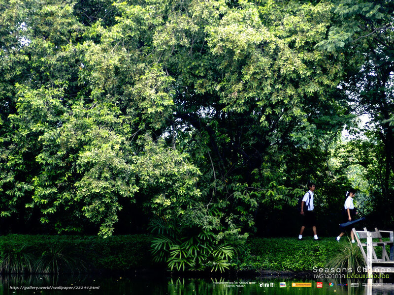 Students walking in a park