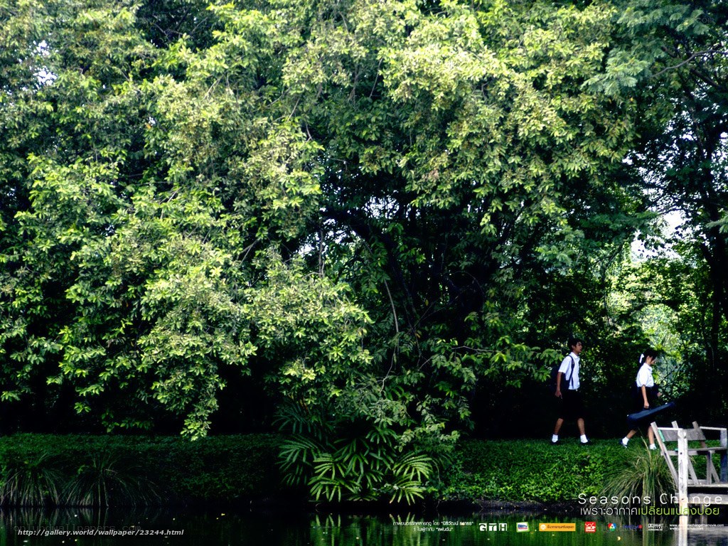 Students walking in a park