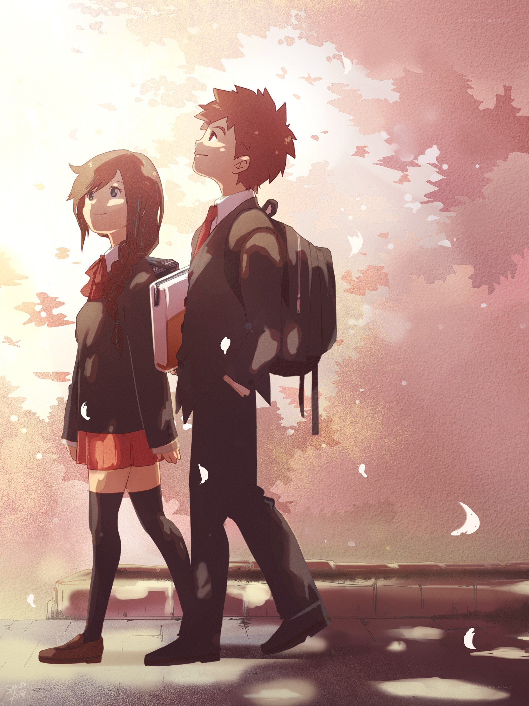 students walking under cherry blossoms