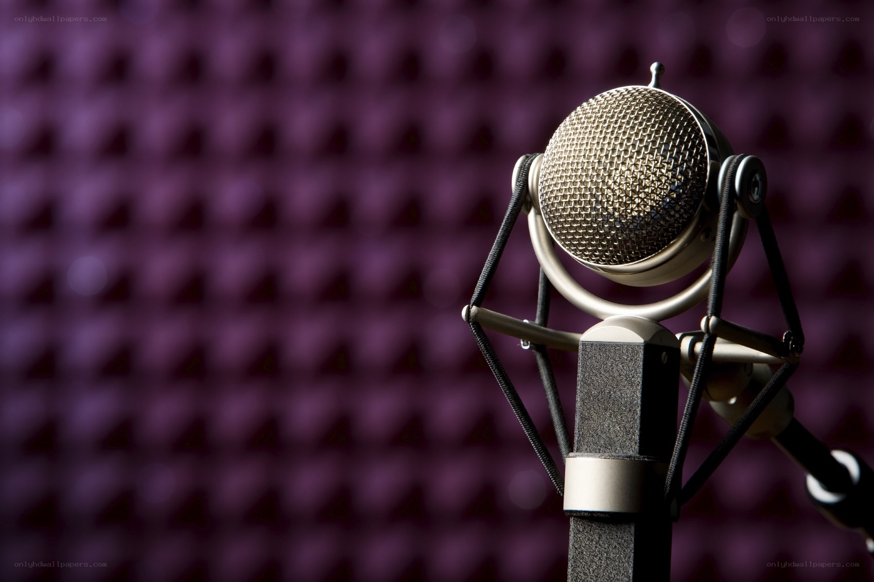 Studio microphone with acoustic foam