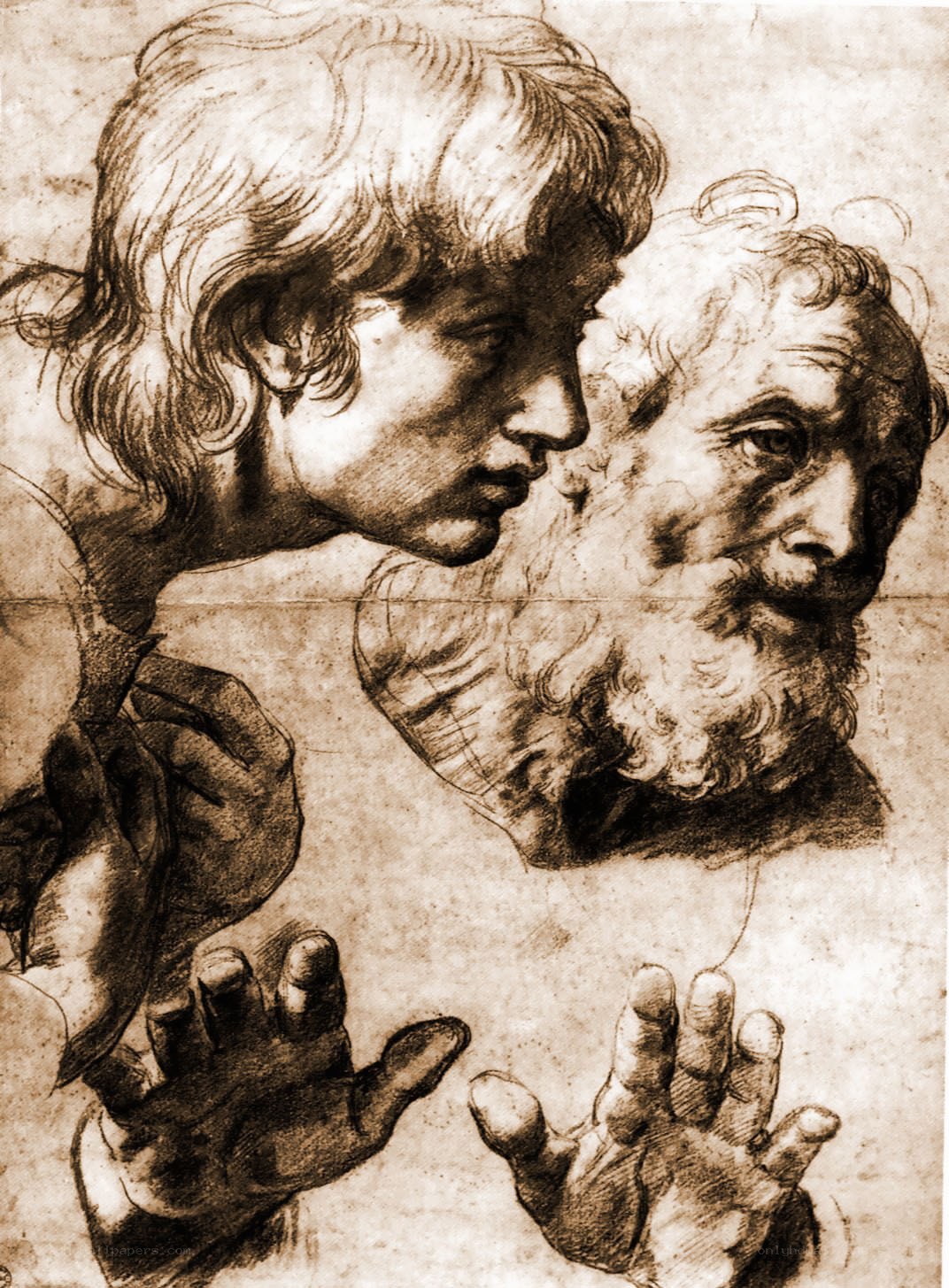 Study of two heads and hands