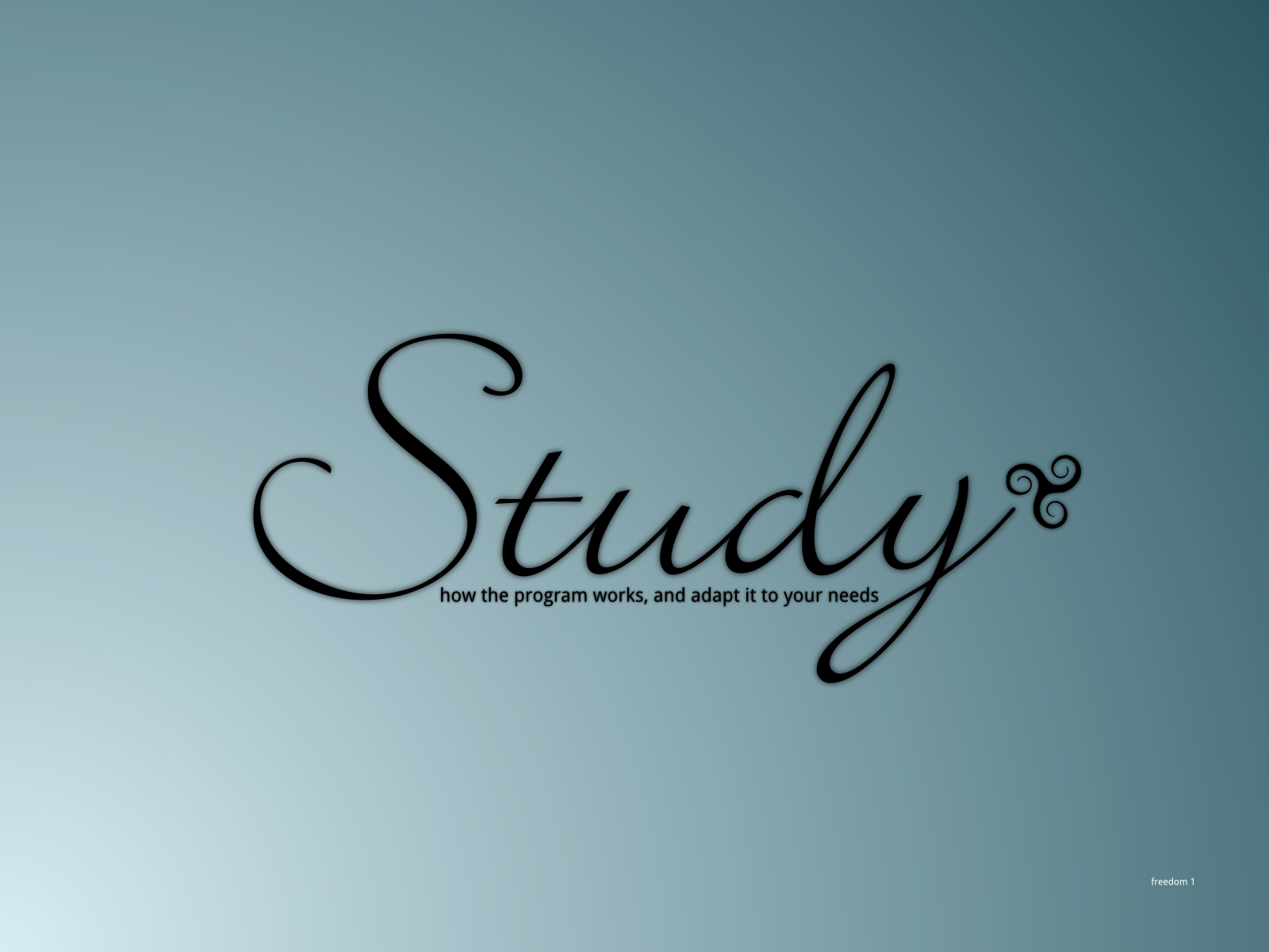 Study program text