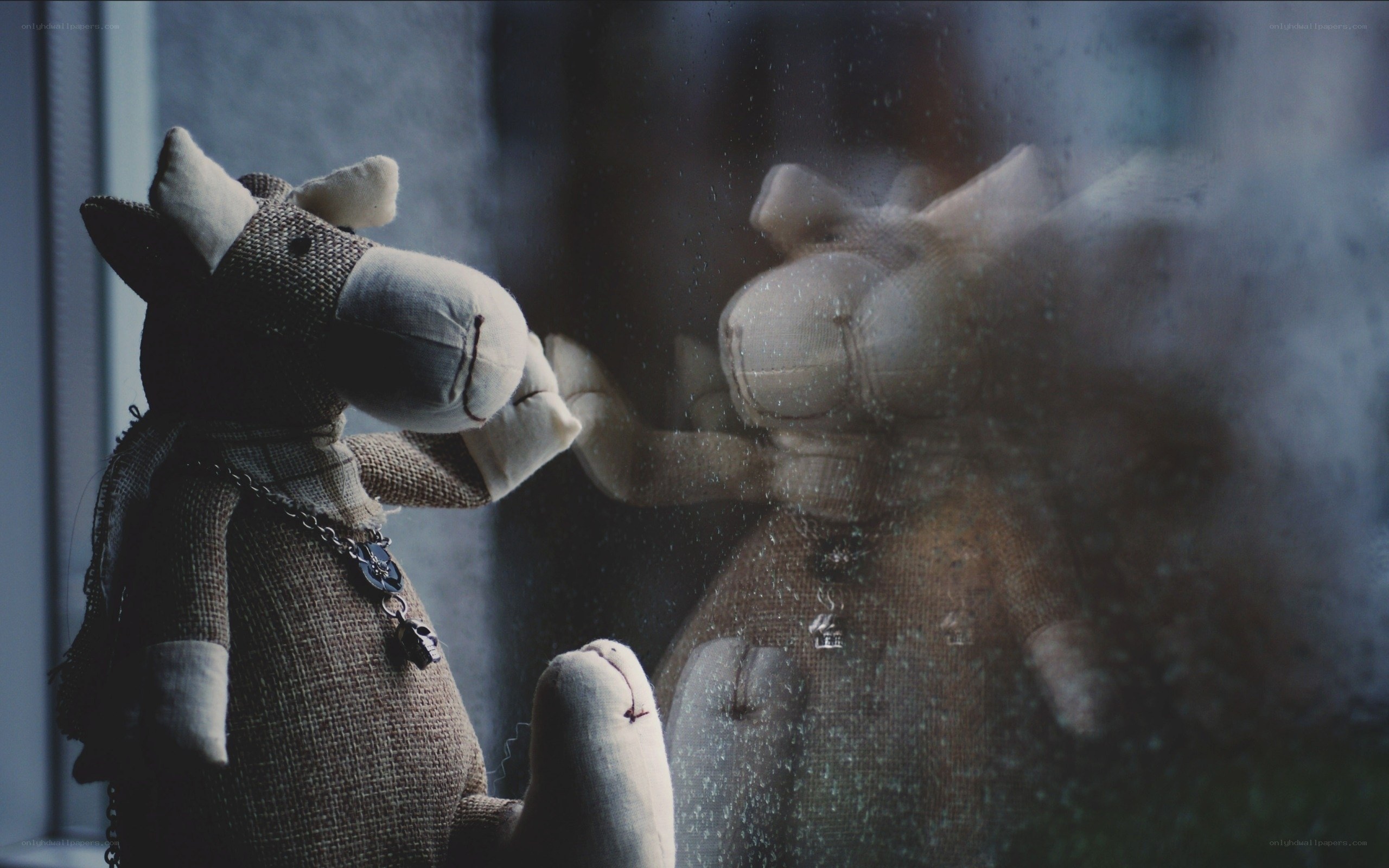 Stuffed animal by a rainy window
