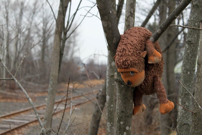 Stuffed animal in a tree
