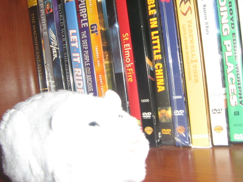 stuffed animal in front of DVDs