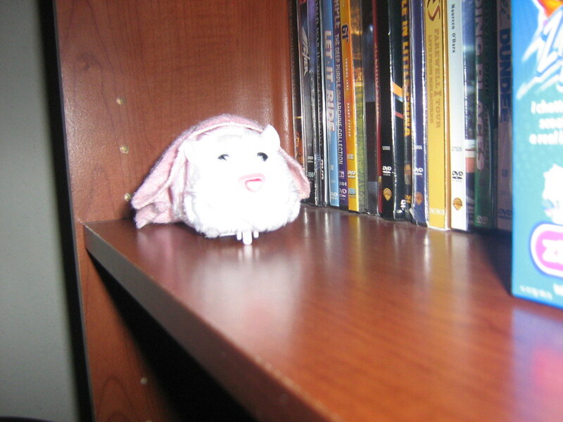 stuffed animal on bookshelf