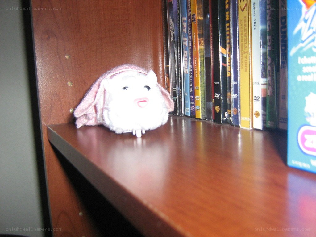 stuffed animal on bookshelf