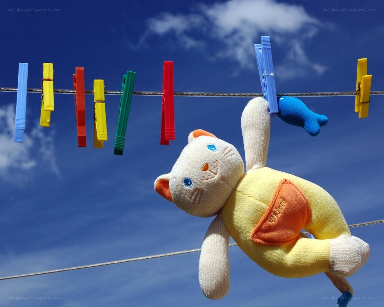 Stuffed animal on clothesline