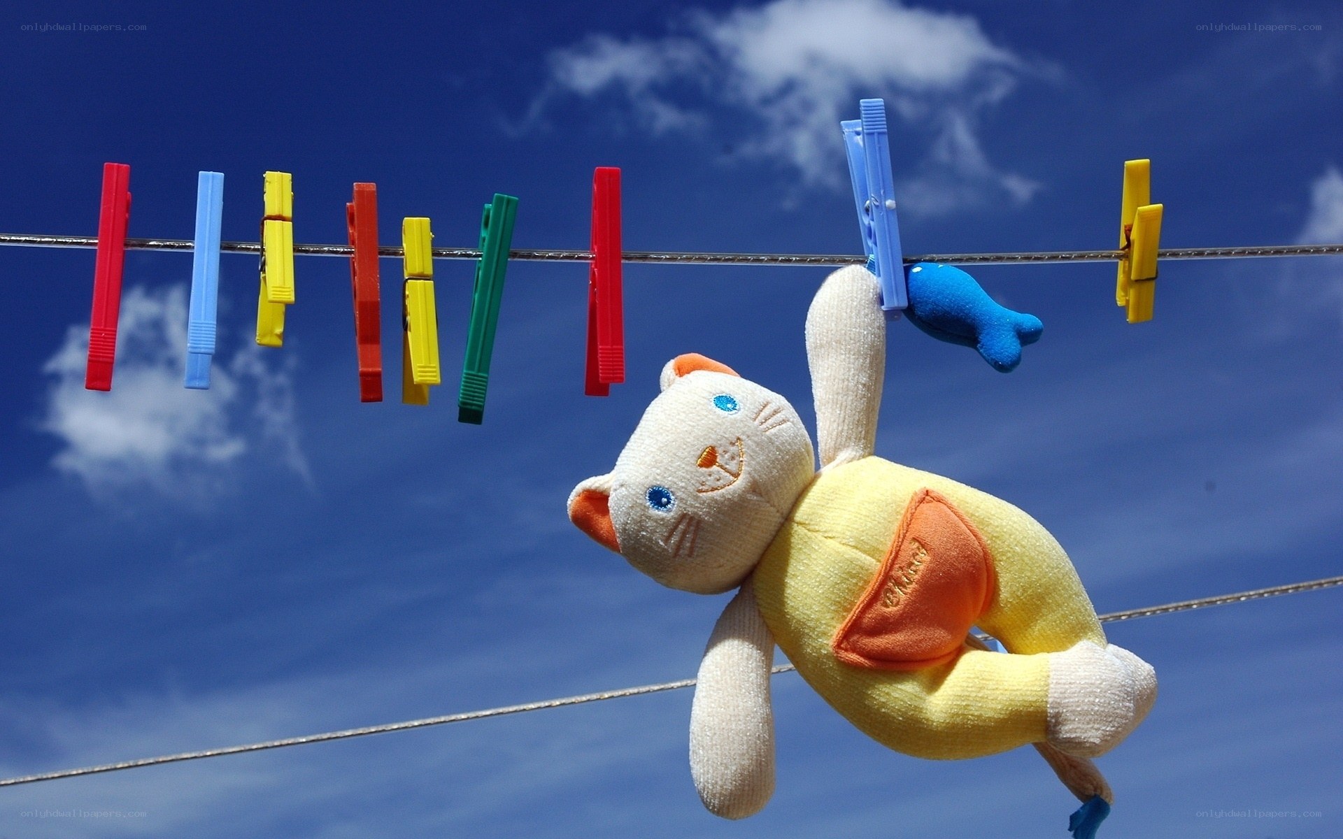 Stuffed animal on clothesline