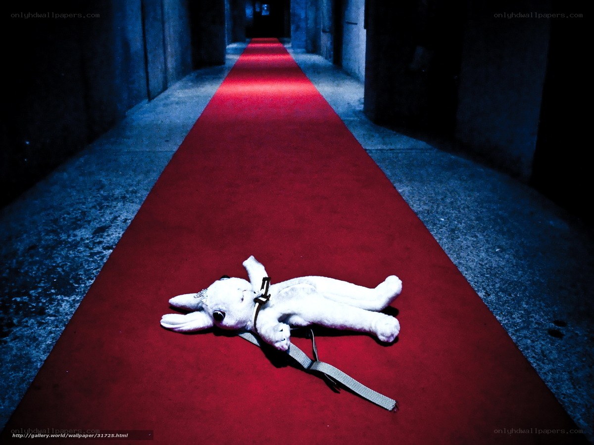 Stuffed animal on red carpet
