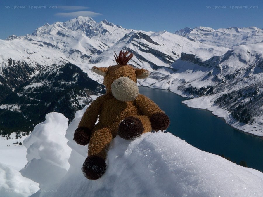 Stuffed animal on snowy mountain