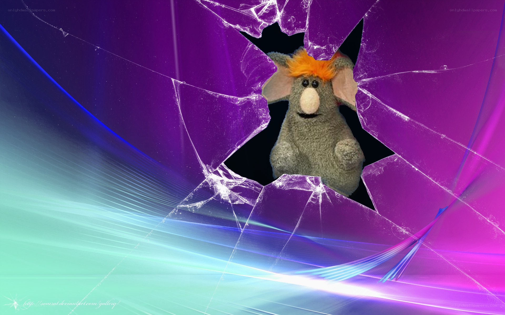 stuffed animal through broken glass