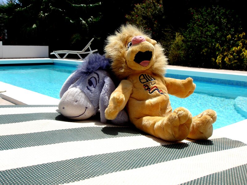 Stuffed animals by the pool