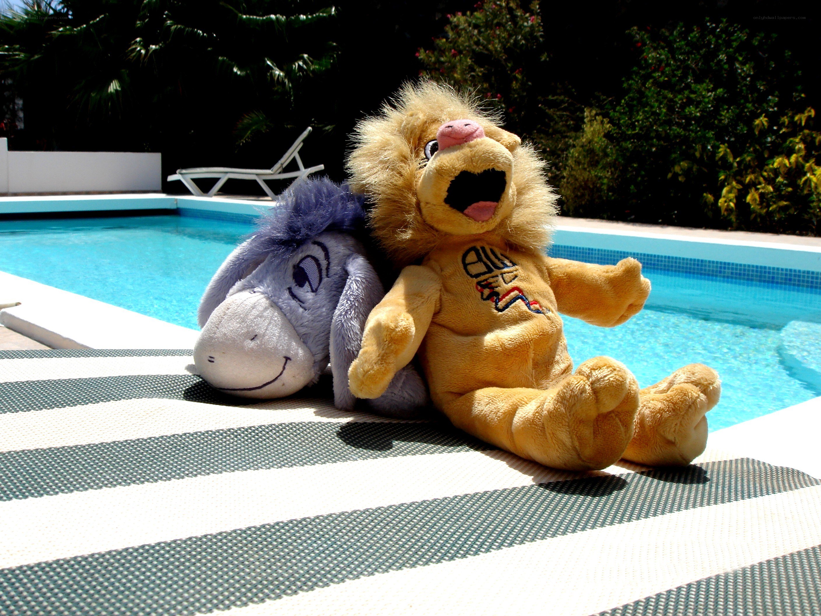 Stuffed animals by the pool