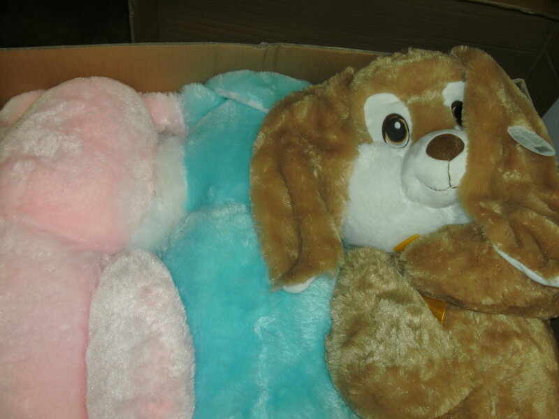 Stuffed Animals in Box