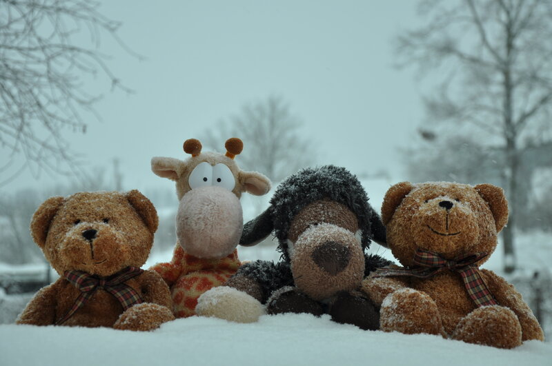 Stuffed Animals in Snow