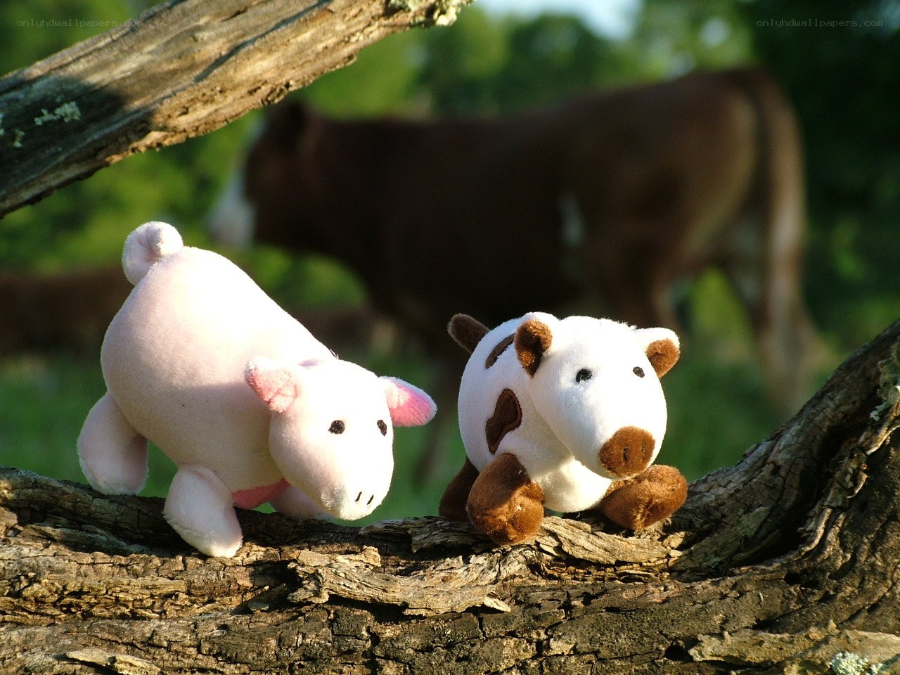 Stuffed animals on a tree branch