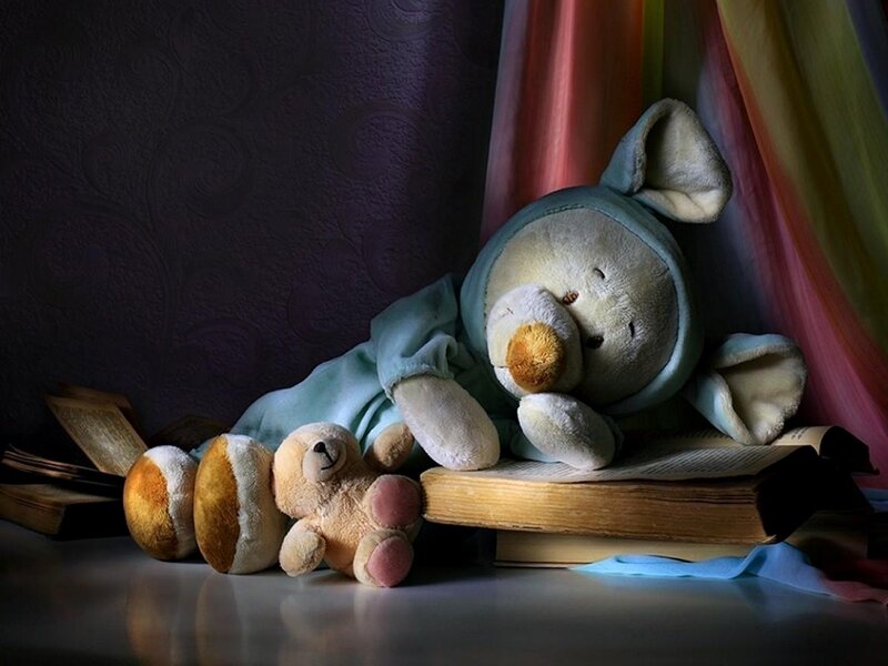 Stuffed Animals on Books