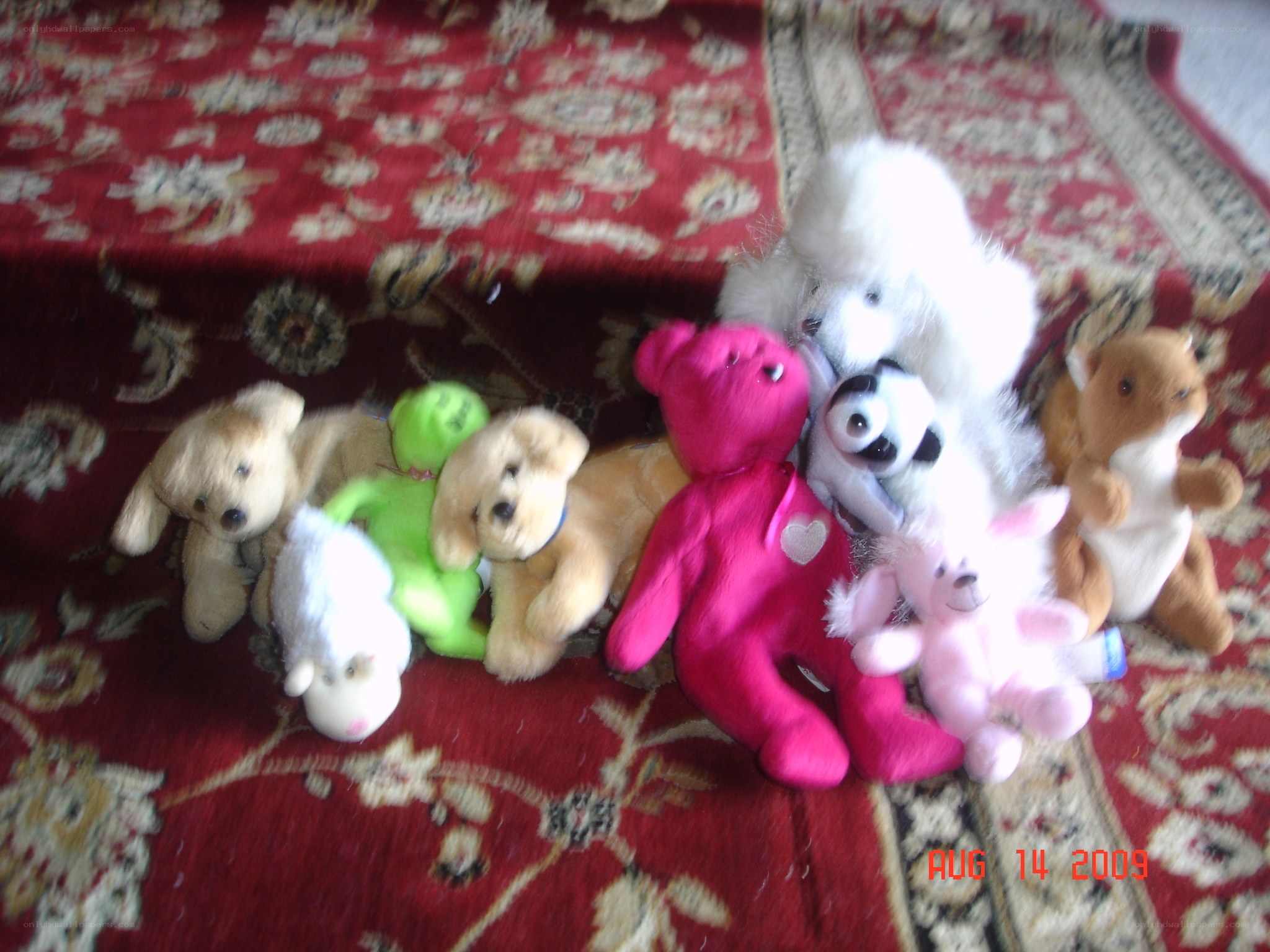 stuffed animals on rug