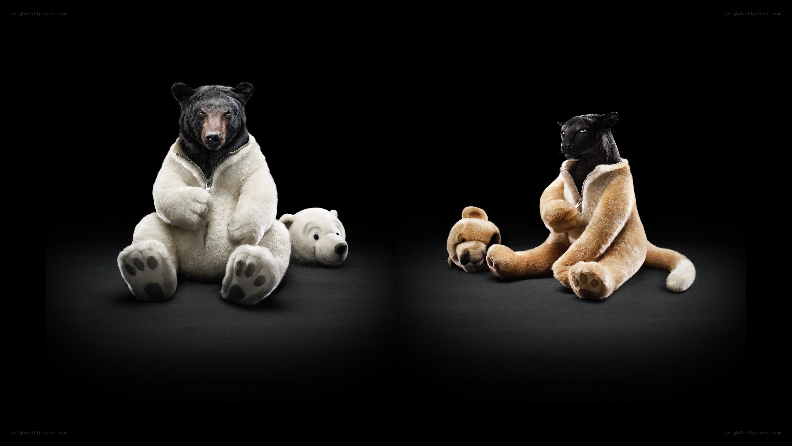 Stuffed animals with animal heads