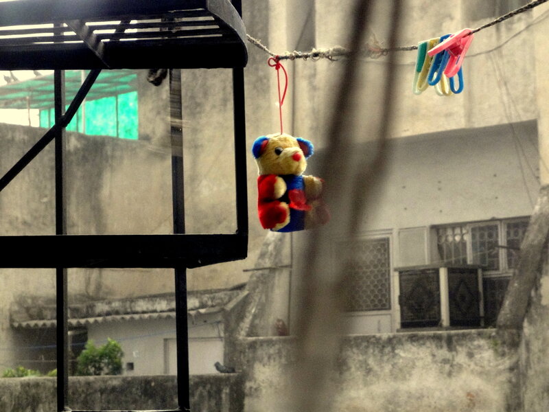 Stuffed Bear Hanging