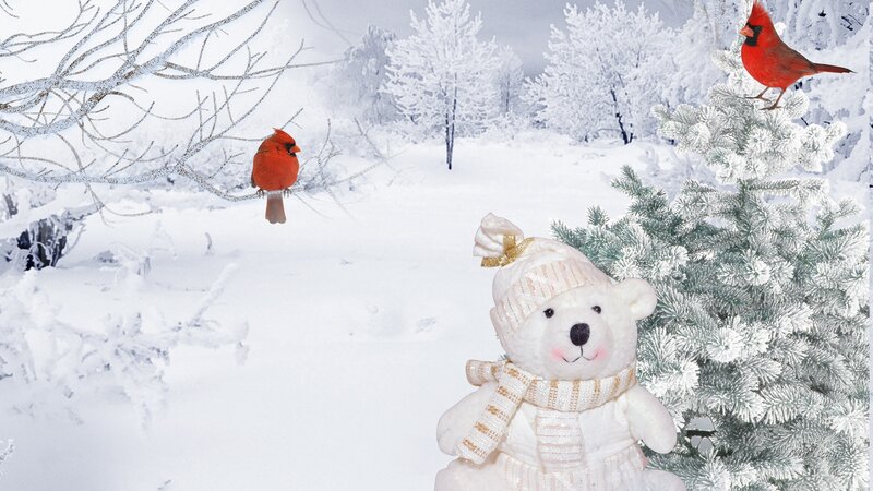 Stuffed Bear in Snow — White