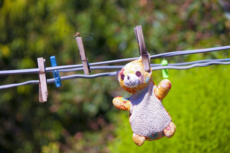 Stuffed Bear on Clothesline