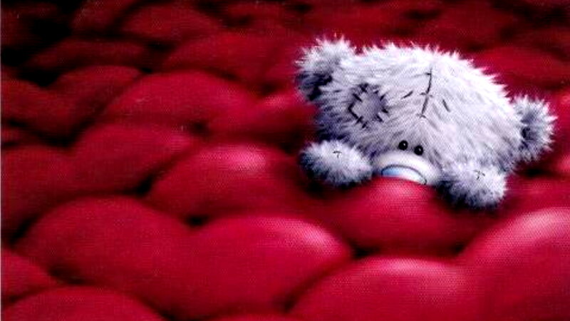 Stuffed Bear on Red Hearts