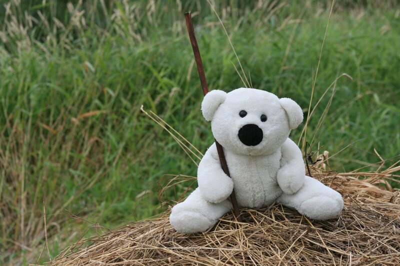 Stuffed bear with stick