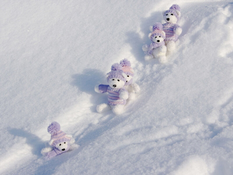 Stuffed Bears in Snow