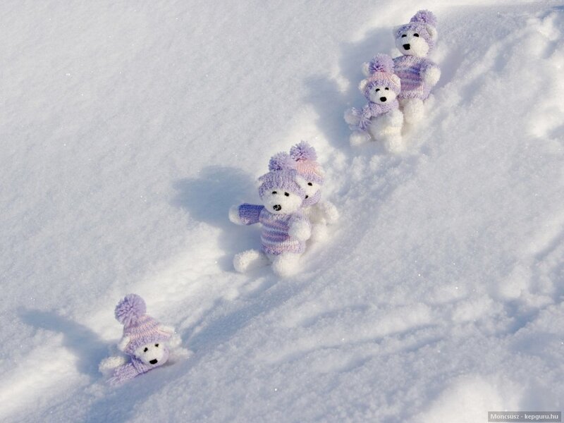 Stuffed Bears in Snow — White