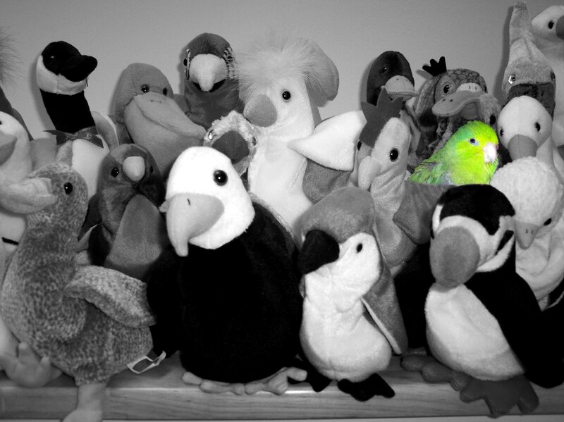 Stuffed Birds on Shelf