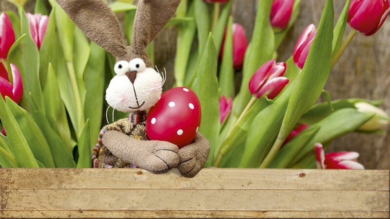 Stuffed Bunny Holding Egg