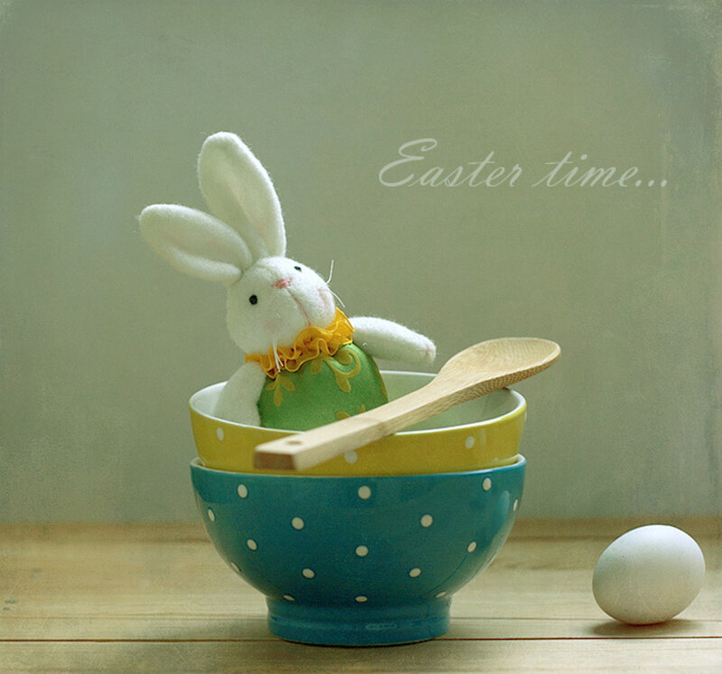 Stuffed Bunny in Bowls