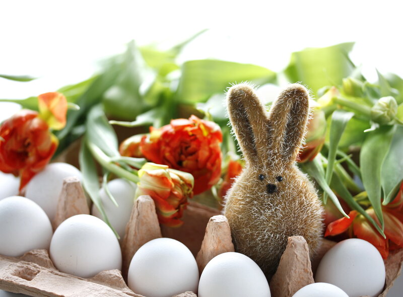 Stuffed Bunny in Egg Carton