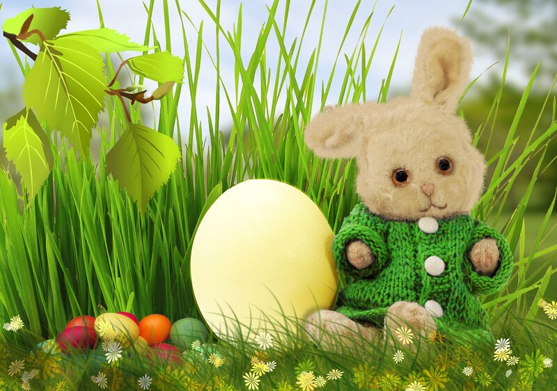 Stuffed Bunny in Grass