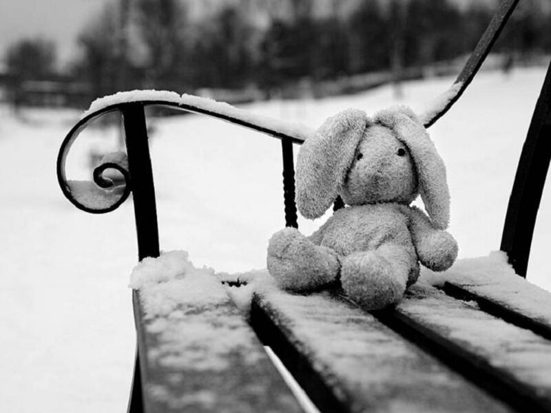 Stuffed Bunny on Bench
