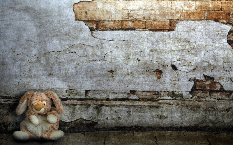 Stuffed Bunny on Wall