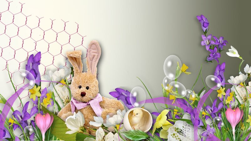 Stuffed Bunny with Chick
