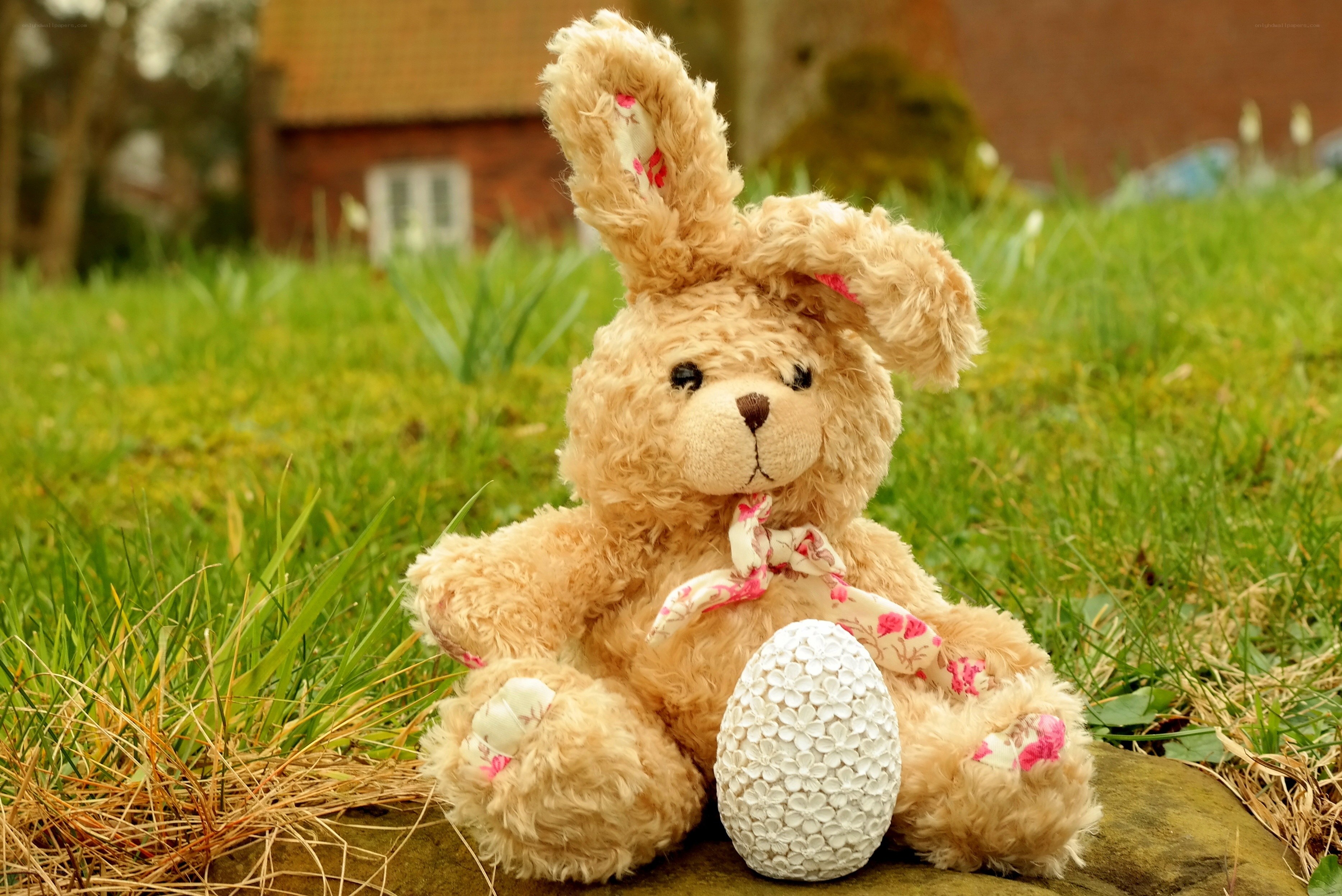 Stuffed bunny with egg in garden