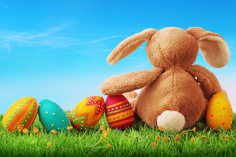 Stuffed Bunny with Eggs — Green, Serene, Spring